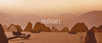 kill yourself live sub pop GIF by Sub Pop Records