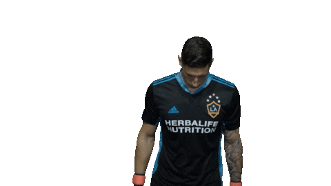 Los Angeles Football Sticker by LA Galaxy