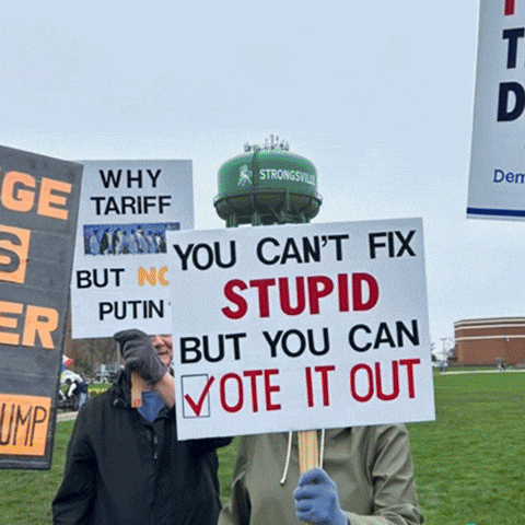 Organize Human Rights GIF by Creative Courage