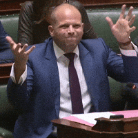 de_nva theo mwa handen twijfel GIF