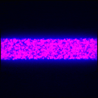 pink glow GIF by Erica Anderson