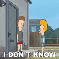 Beavis And Butthead Idk GIF by Paramount+