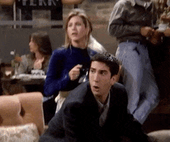 Season 1 Wtf GIF by Friends