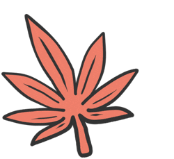 hwans_story red wave wind story Sticker