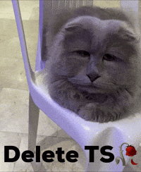 Cat Judging GIF