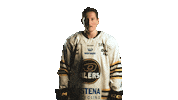 Hockeynorge Sticker by Stavanger Oilers