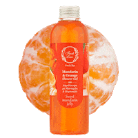 Orange Mandarin Sticker by Fresh Line