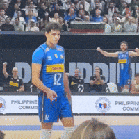 Volleyball Italia GIF
