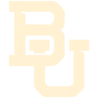 College Basketball Bruiser Sticker by Baylor Athletics