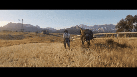 Rockstar Games Cowboy GIF