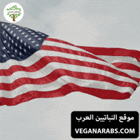United States America GIF by VeganArabs