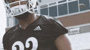 MercerBears football flex mercer mercer bears GIF