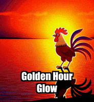 Weather Sunset GIF by Zorooster