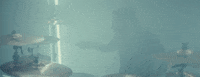 loop cycle GIF by Epitaph Records