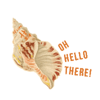 Summer Hello Sticker by Heidi Swapp