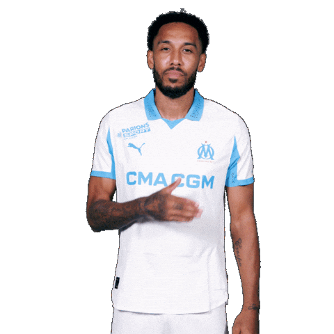 Football Soccer Sticker by Olympique de Marseille