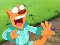 nicksplat GIF