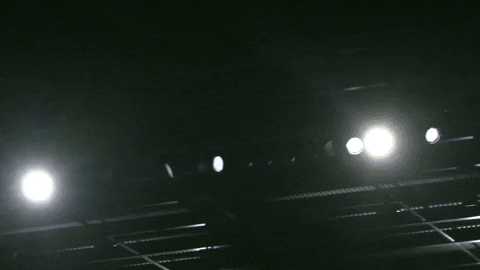 Mls GIF by D.C. United