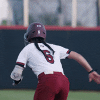 southeastern conference slide GIF by gamecocksonline