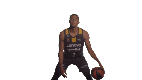 Liga Endesa Basket Sticker by ACB