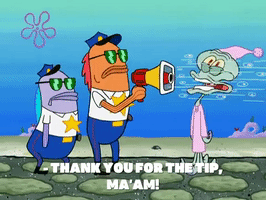 season 8 episode 3 GIF by SpongeBob SquarePants