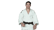 Fight Swipe Up Sticker by Czech judo