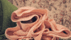 Cozy GIF