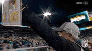Jacksonville Jaguars Football GIF by NFL