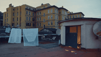 hokusfilm cat festival jazz istanbul GIF