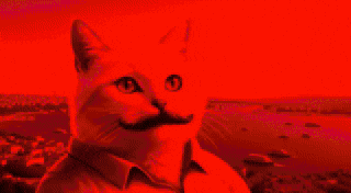 To The Moon Cat GIF by vankedisi