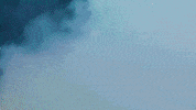 Track Bison GIF by NDSU Athletics