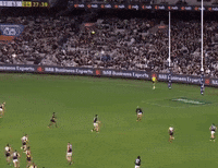 Carlton Blues Mark GIF by Carlton Football Club
