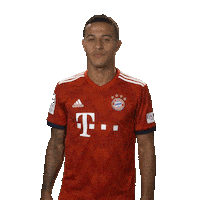 happy germany Sticker by FC Bayern Munich