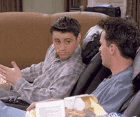 season 2 friends GIF