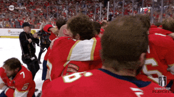 Stanley Cup Playoffs Win GIF by NHL