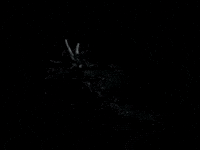 Cljschmitz art show baggy genes art show baggygenes baggy genes GIF