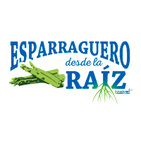 Asparagus Esparragos Sticker by Innoval Global