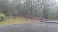 Heavy Rain Comes Down on South Carolina