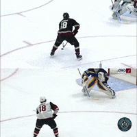 Arizona Coyotes Goal GIF by Hockey Players Club