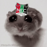 Sad Hamster GIF