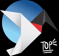 pantanalagricola agro agricultura soja milho GIF