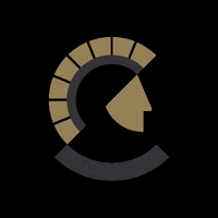 armynavyathletics sports logo school athletics GIF