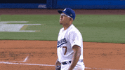 Los Angeles Sport GIF by MLB