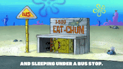 season 9 gary's new toy GIF by SpongeBob SquarePants