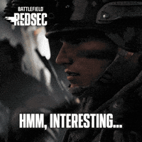 Battle Royale Judging You GIF by Battlefield