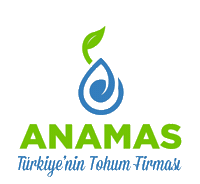 Seed Sticker by Anamas Tohum