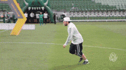 chute GIF by SE Palmeiras