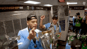 Happy Mls Cup GIF by NYCFC