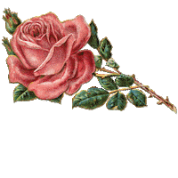 Girl Love Sticker by alaina colleen