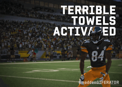 Pittsburgh Steelers GIF by Madden Giferator